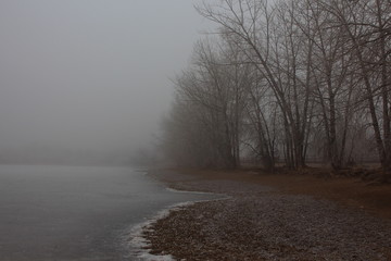 Obraz na płótnie Canvas road in the fog