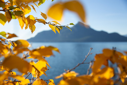 Porteau Cove Provincial Park in Canada Overlooking the Howe Sound lake with orange fall leaves and mountain in background