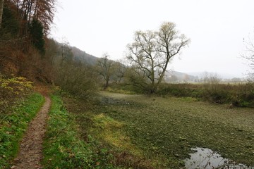 Fototapeta na wymiar Ausgetrocknetes Flussbett der Donau bei der Donauversinkung in Immendingen (Kreis Tuttlingen)