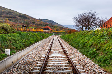 Fototapeta na wymiar Railroad tracks in the autumn landscape