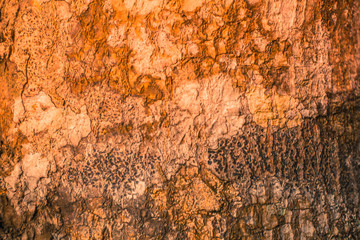 Wood bark background from Phuket island beach Thailand