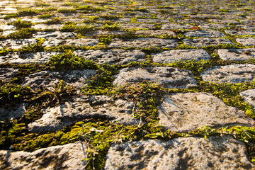 old road in rustic cobblestones
