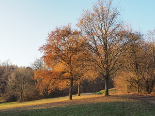 Herbst am J&auml;gersburger Br&uuml;ckweiher bei Homburg &ndash; J&auml;gersburger Weiher - Buntes Laub in der Herbstsonne

