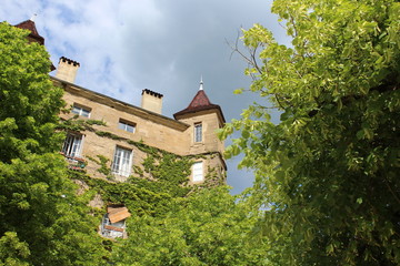 Fototapeta premium SAINT ANTOINE L'ABBAYE - ISERE