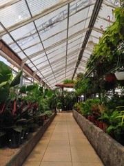 ancient garden where all kinds of plants and flowers are planted and cultivated to be transferred...