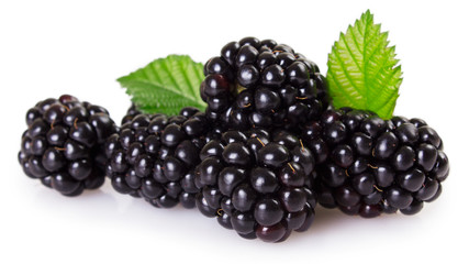 Fresh blackberry on white background