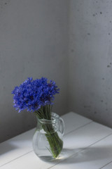 minimalistic still life with cornflowers in glass jug on white rustic wooden background