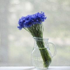 cornflowers in glass jug on windowsill, summer still life