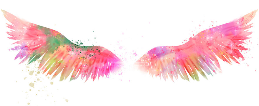 magic watercolor wings