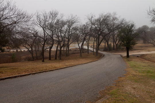 Quiet Day in the Park