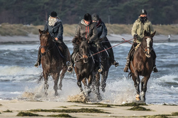 reiter an der ostseeküste
