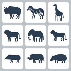 Vector animals of tropical zone icons set