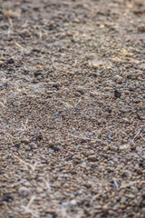 Texture bacground of little rocks