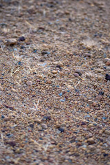 Texture bacground of little rocks