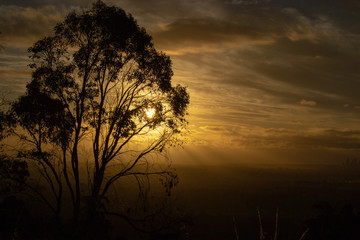 Fototapeta na wymiar Beautiful sunset landscape from Mundarin area sillouettes of trees