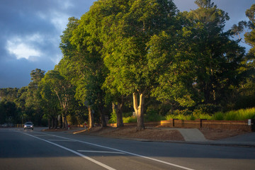 Fototapeta na wymiar Landscape of a suburbian area