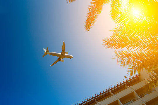 Plane passing palm trees tops and hotel building with blue sky on background