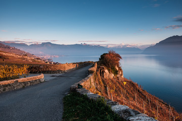 Sunset on the terraces of Lavaux, Switzerland, with a beautiful view on Lake Geneva, the Alps and in the distance on Montreux