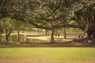 Landscape of a Park in Perth Hide park
