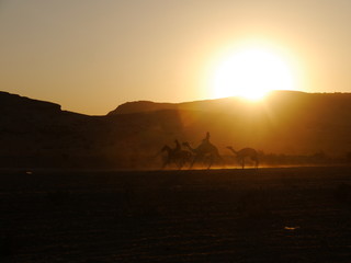 two camels and one horse riding in the sunset near Little Petra, Kingdom of Jordan