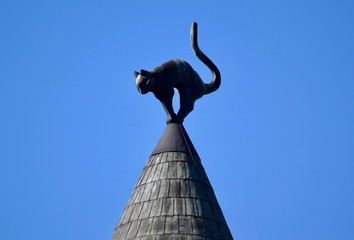 Black Cat on The Roof