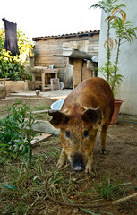 Cuba Adventure Travel