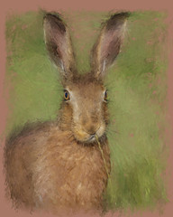 painting Alert hare sitting chewing grass - 234351469