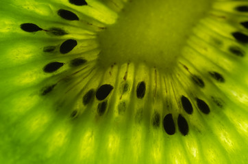 Slice of kiwi  close up background.