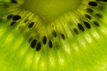 Slice of kiwi  close up background.