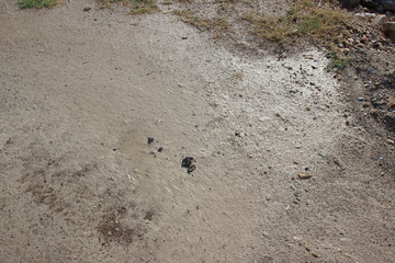 Muddy puddle on grey gray dirt road abstract horizontal
