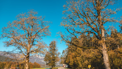 Fototapeta premium Beautiful alpine autumn view near Berchtesgaden-Bavaria-Germany