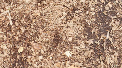 Ground