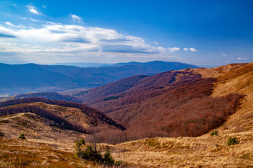 Fototapeta na wymiar Landscape of autumnal peaks of the Carpathians.