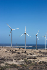 Set of wind turbines near the sea