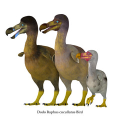 Dodo Bird Family with Font - The Dodo is an extinct flightless bird that lived on Mauritius Island in the Indian Ocean near Madagascar. © Catmando