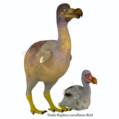 Dodo Bird Female with Young with Font - The Dodo is an extinct flightless bird that lived on Mauritius Island in the Indian Ocean near Madagascar. © Catmando