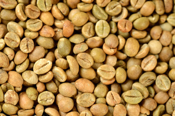 unroasted coffee texture