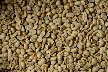unroasted coffee texture