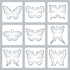 Vector isolated butterflies icons set, thin line or outline style