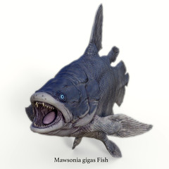 Mawsonia Fish on White with Font - Mawsonia was a extinct coelacanth lobe-finned fish that prowled the deep ocean during the Triassic and Cretaceous Periods of North Africa and Brazil, South America. © Catmando