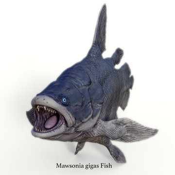 Mawsonia Fish on White with Font - Mawsonia was a extinct coelacanth lobe-finned fish that prowled the deep ocean during the Triassic and Cretaceous Periods of North Africa and Brazil, South America.