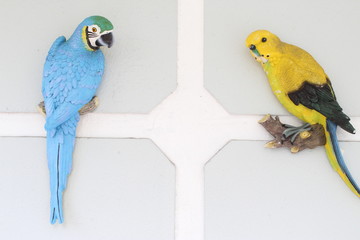 Obraz premium colorful parrot on white background