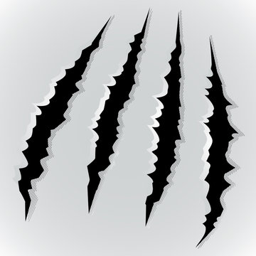 Vector illustration of monster claw scratch