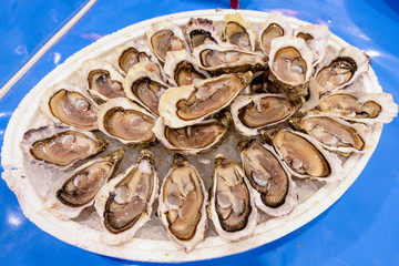 Plate of oysters from the sea