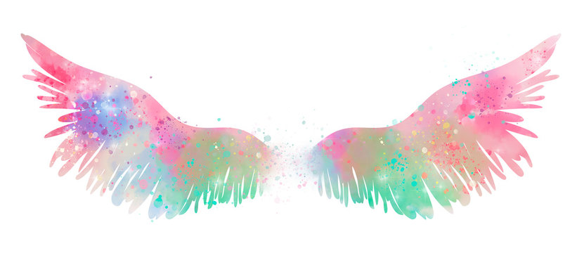 magic watercolor wings