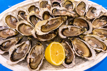 Plate of oysters from the sea