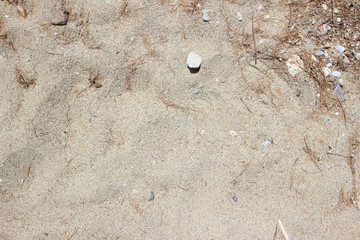 Beach sand pebbles stones close up surface texture horizontal detail abstract