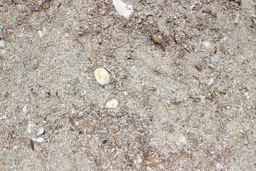 Beach sand pebbles stones close up surface texture horizontal detail abstract