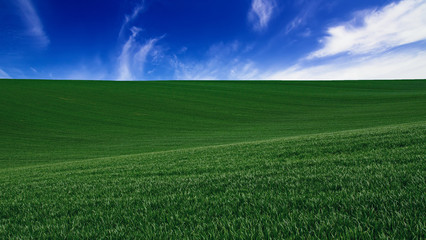 Fototapeta premium Abstract natural background