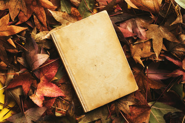 Old book and autumn leaves